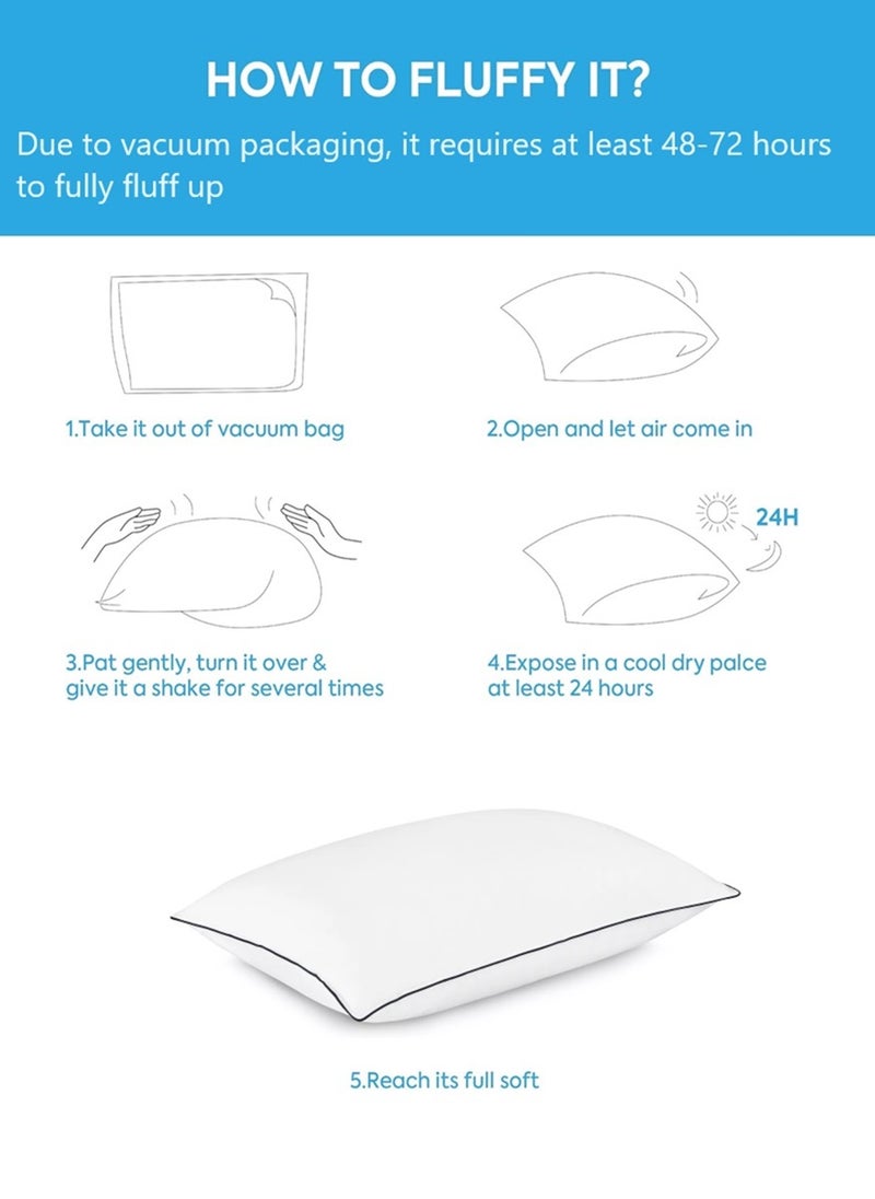 2 Piece Pack Black Line Soft Pillow With Single Piping Microfiber 50x70cm Made in Uae