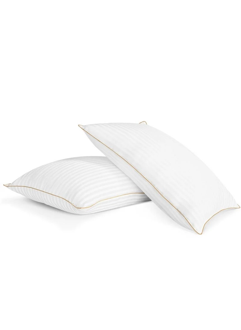 2 Piece Pack Cotton Bed Pillow Golden Single Piping 50x70cm Made in Uae