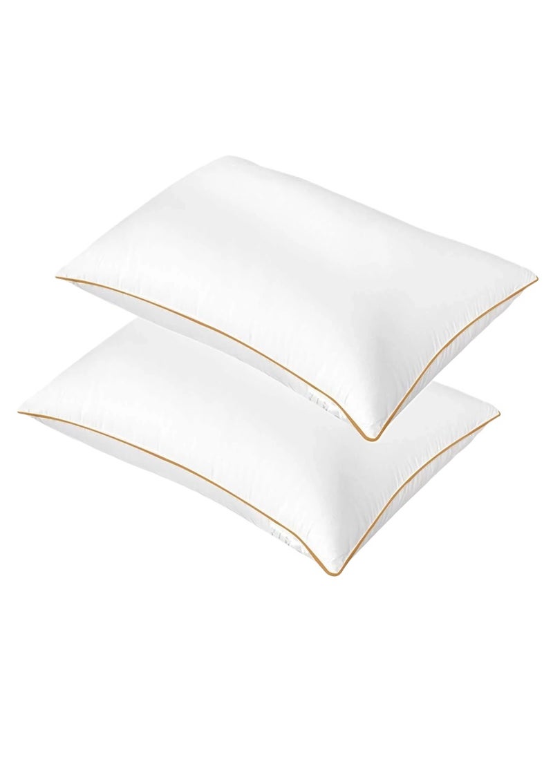 2 Piece Pack Gold Single Piping Bed Pillow Cotton White 50x70cm Made in Uae