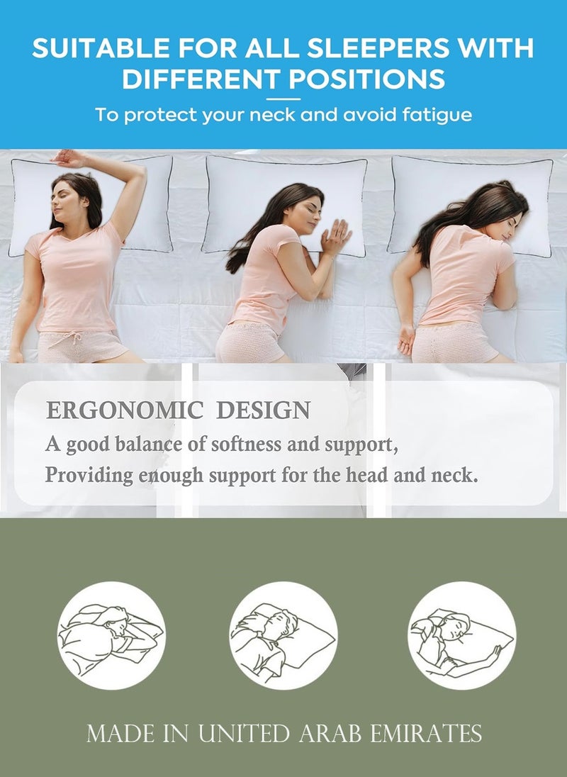 2 Piece Pack Black Edge Pillow - Single Piping Pillow 50x70cm Made in Uae