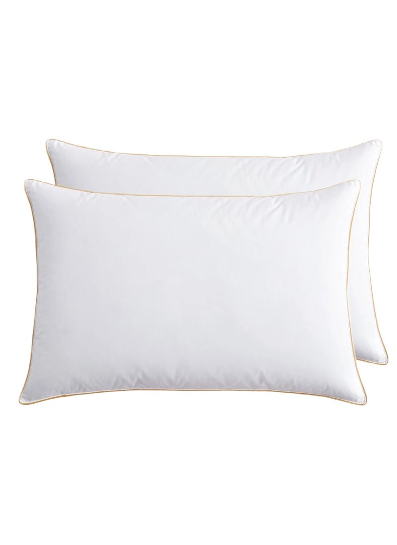 2 Piece Pack Cotton Soft Bed Pillow With Golden Line Single Piping Pillow 50x70cm Made in Uae