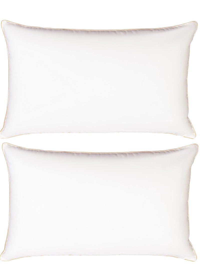 2 Piece Pack  Edge Piping Pillow- Golden Single Piping Pillow 50x70cm Made in Uae