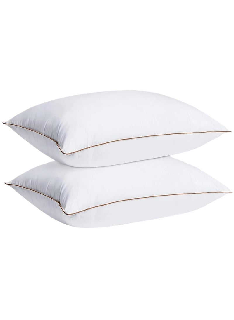 2 Piece Pack Cotton Single Piping Golden Line Pillow White 50x70cm Made in Uae