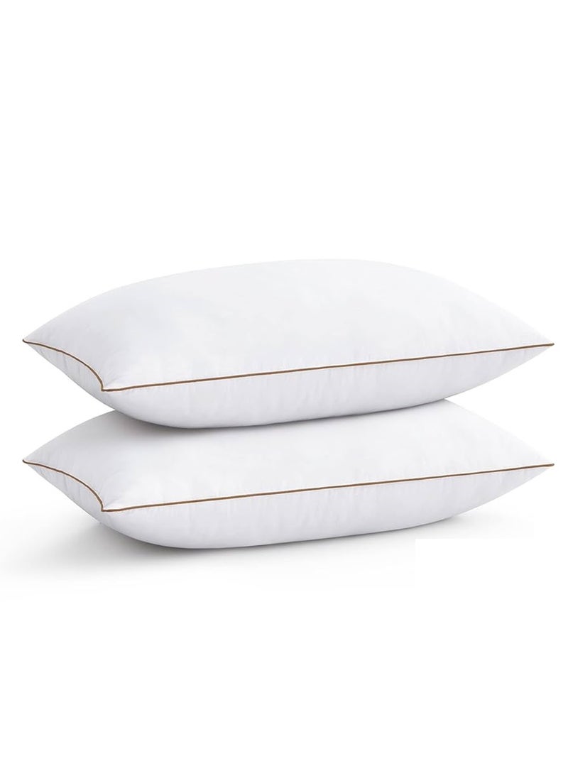 2 Piece Pack Gold Line Cotton Single Piping Pillow 50x70cm Made in Uae