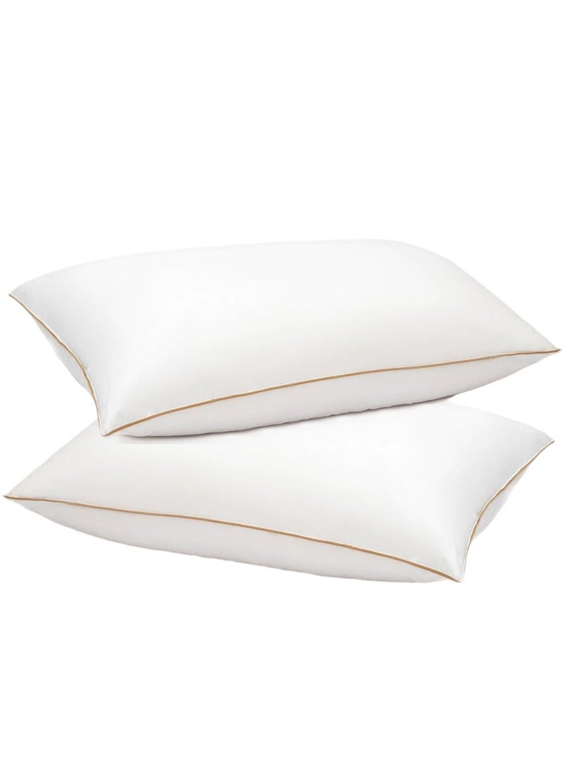 2 Piece Pack Cotton Bed Sleeping Pillow Golden Single Piping  50x70cm Made in Uae