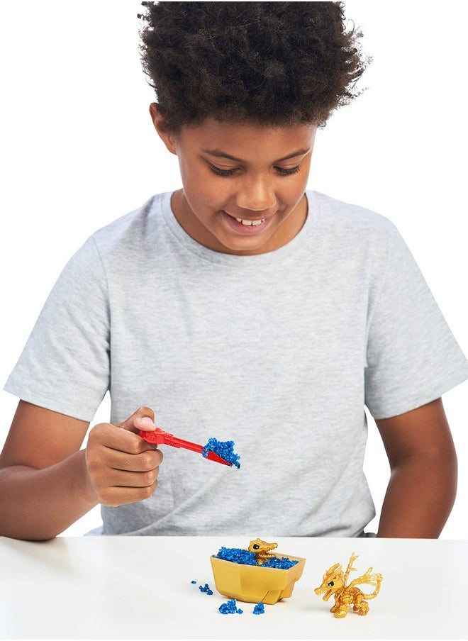 TREASURE X Beast Deluxe Treasure X Experience (Multicolor), Baby