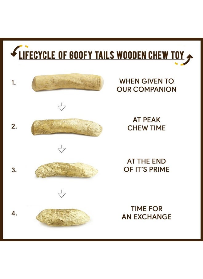 Goofy Tails Coffee Wood Dog Toys Combo| Splinter Free, Caffeine Free, Dog Chew Toys| Natural, Safe Puppy Toy| Dental Care Dog Toy & Training Chew Toys for Dogs| Durable Toys for Dog| Large, 2 Piece