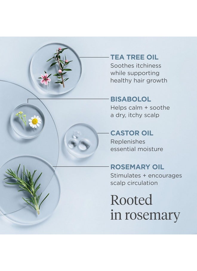 Briogeo Scalp Revival Rosemary Pre-Wash Oil, Hair and Scalp, Dry Scalp Treatment for Stronger and Longer Hair, Soothe Dry Scalp, Lipids and Vitamins, Deep Moisture, Vegan, Cruelty-Free, 3.4 fl oz