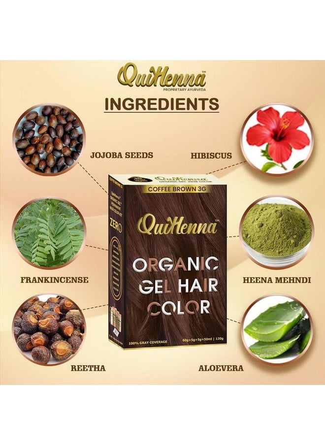 byPureNaturals QuikHenna Organic Hair Colour Gel 3G Coffee Brown - PPD & Ammonia Free Permanent Natural Hair Color, 100% Grey Coverage, Long Lasting Gel Colour for Men & Women, 120gm