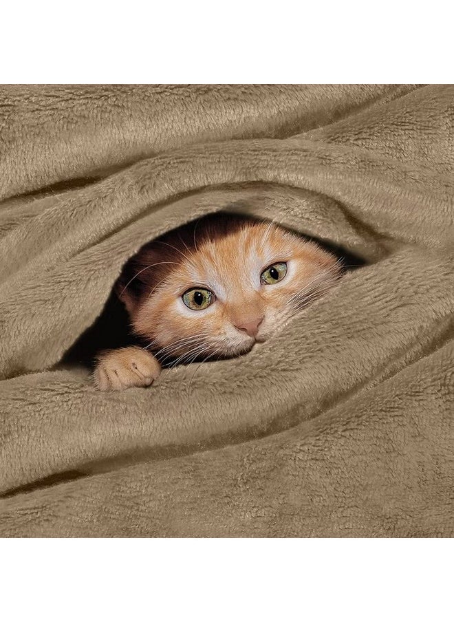 BSB HOME® Premium Plush Double Blanket | 300 GSM Lightweight Cozy Soft for Bed, Sofa, Couch, Travel & Camping| Beige, 220x230 cm or 86x90 inches