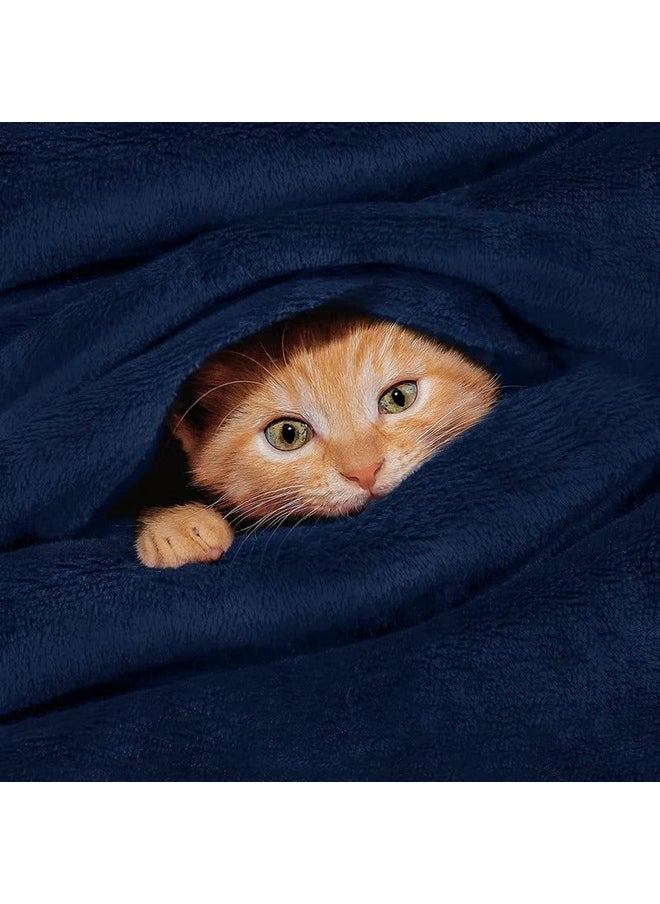 BSB HOME® Premium Plush Double Blanket | 300 GSM Lightweight Cozy Soft for Bed, Sofa, Couch, Travel & Camping| Blue, 220x230 cm or 86x90 inches