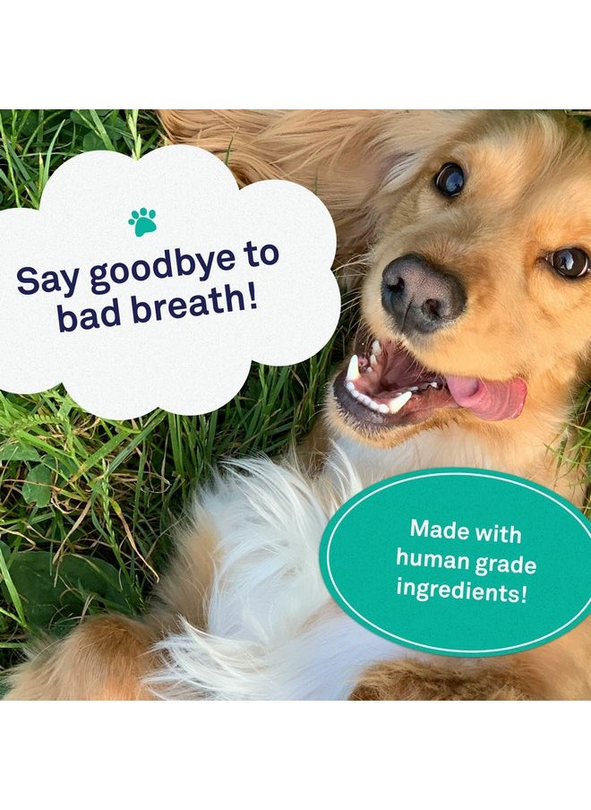 Petpost | Toothpaste for Dogs - Coconut Oil and Baking Soda Based Dental Gel That Naturally Eliminates Bad Breath - Dirt, Gunk, and Tooth Buildup Gone - Mint Flavor 4 oz.