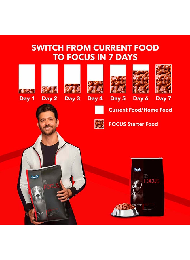 Focus Premiun Starter Dry Dog Food  Chicken 4Kg