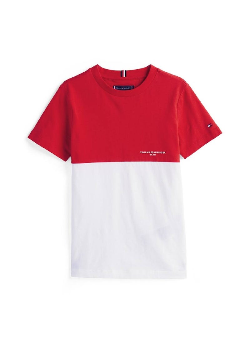 Boys' Short and T-Shirt Set - Cotton Blend, Multicolour