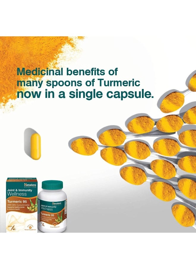 Since 1930 Herbals Turmeric 95 Herbal Veggie Caps, Curcumin, 60 Capsules