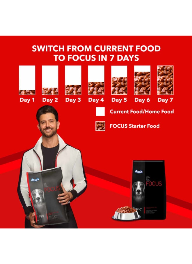 Focus Premiun Puppy Dry Dog Food  Real Chicken 12 Kg + Free 1 Kg