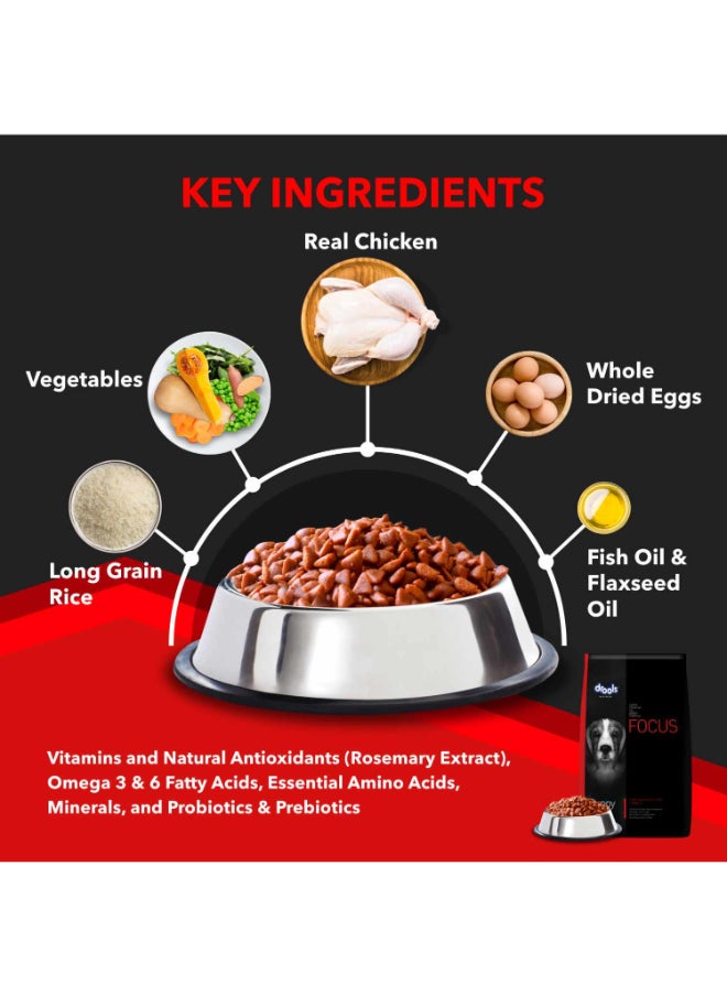 Focus Premiun Puppy Dry Dog Food  Real Chicken 12 Kg + Free 1 Kg