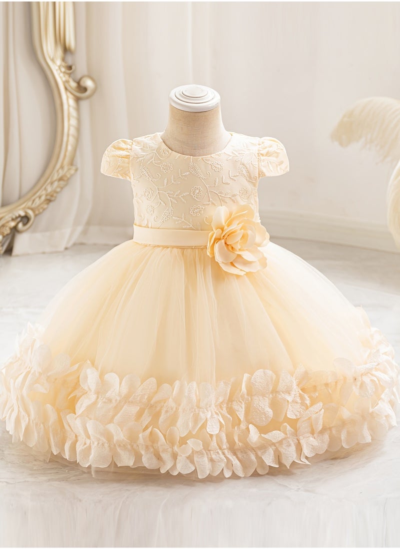 Embroidery Mesh Splicing Princess Dress Flower Decor Cap Sleeve Gown, Toddler Girl's Clothing For Formal Occasion Birthday Party Eid Festival Photography Banquet (Champagne)