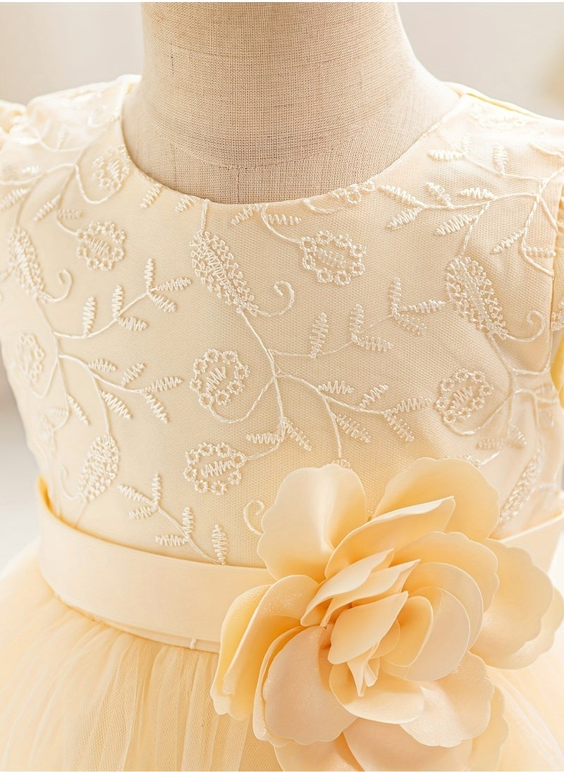 Embroidery Mesh Splicing Princess Dress Flower Decor Cap Sleeve Gown, Toddler Girl's Clothing For Formal Occasion Birthday Party Eid Festival Photography Banquet (Champagne)