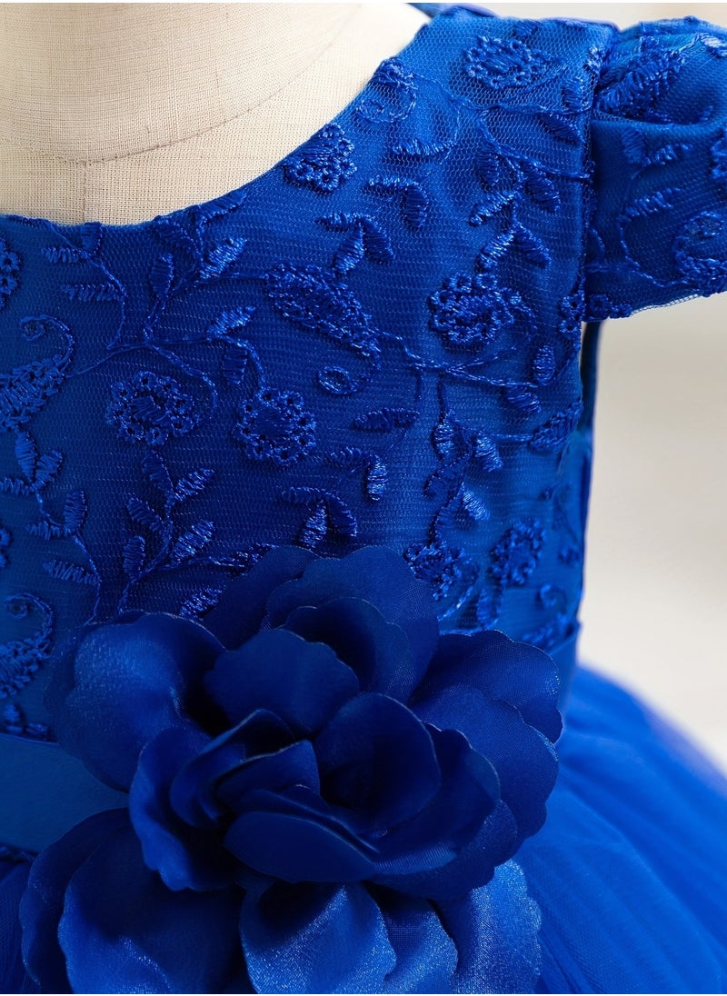Embroidery Mesh Splicing Princess Dress Flower Decor Cap Sleeve Gown, Toddler Girl's Clothing For Formal Occasion Birthday Party Eid Festival Photography Banquet (Blue)