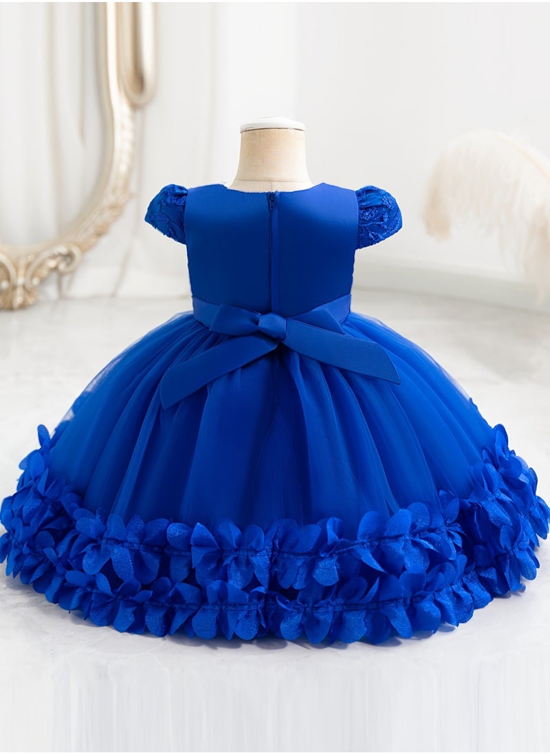 Embroidery Mesh Splicing Princess Dress Flower Decor Cap Sleeve Gown, Toddler Girl's Clothing For Formal Occasion Birthday Party Eid Festival Photography Banquet (Blue)