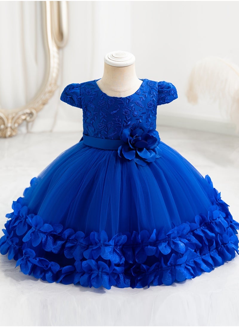 Embroidery Mesh Splicing Princess Dress Flower Decor Cap Sleeve Gown, Toddler Girl's Clothing For Formal Occasion Birthday Party Eid Festival Photography Banquet (Blue)
