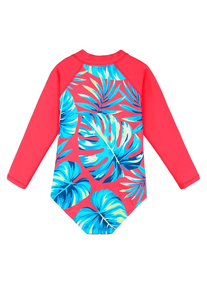 Long Sleeve One Piece Beach Swimsuit Blue/Red