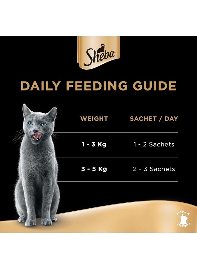 Sheba Melty Mixed Creamy Treats Chicken & White Fish Flavors Cat Food, Pack of 4 Sachets x 12 Bags x 12g, 576g