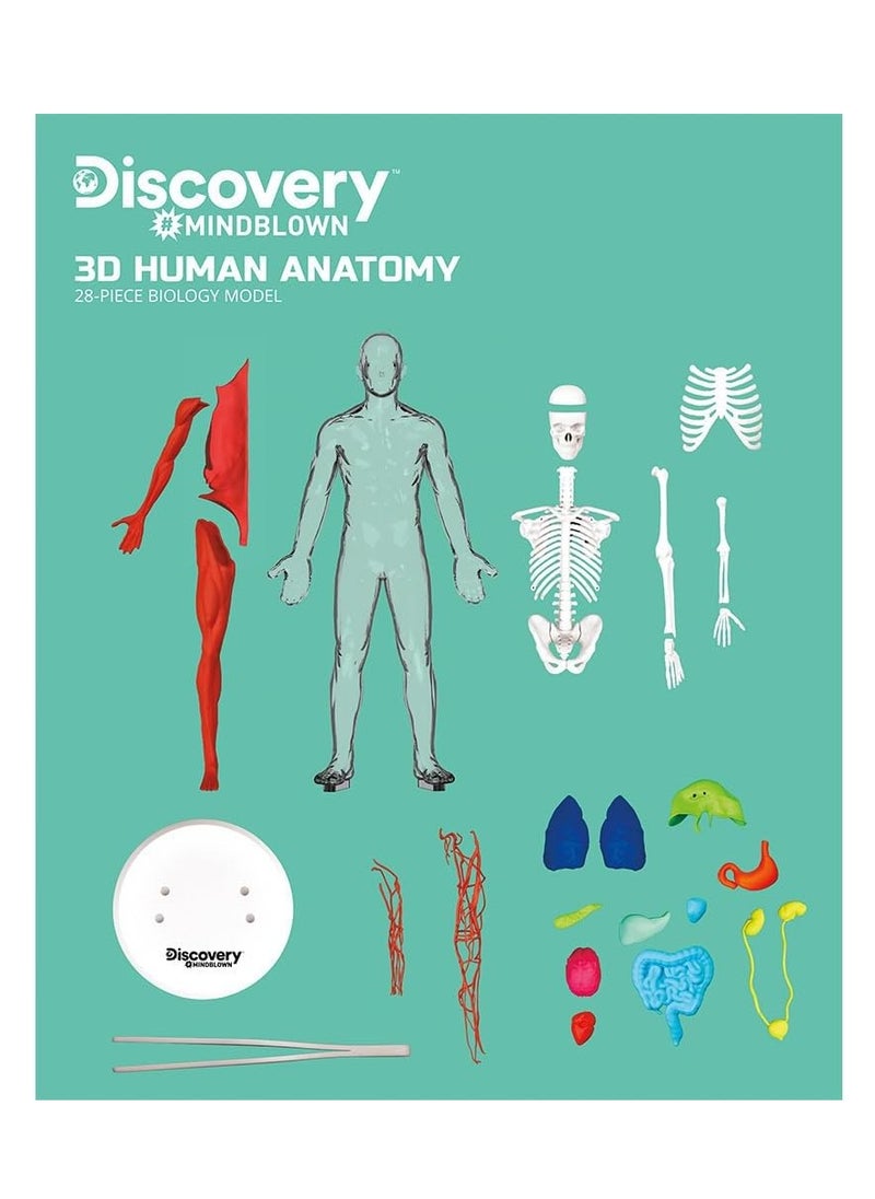 Discovery Mindblown - 3D Human Anatomy Kit