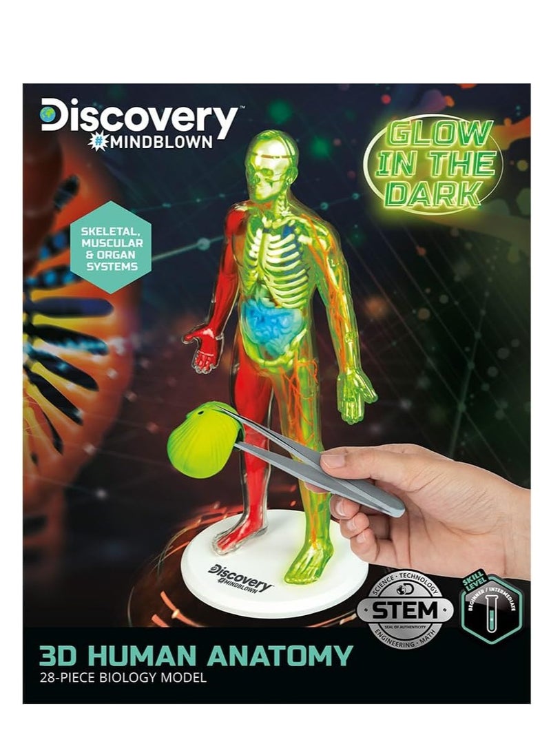 Discovery Mindblown - 3D Human Anatomy Kit