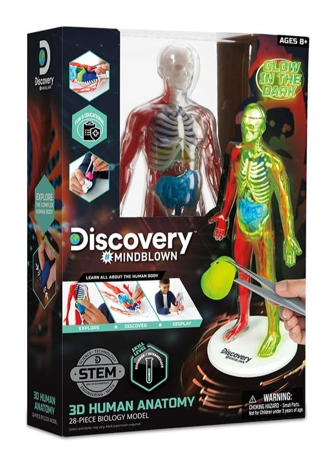 Discovery Mindblown - 3D Human Anatomy Kit