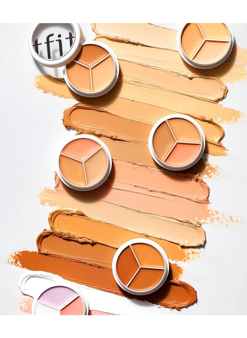 TFIT Cover Up Pro Concealer Palette - 3-in-1 ( 01 neutral | 0.52 Oz)
