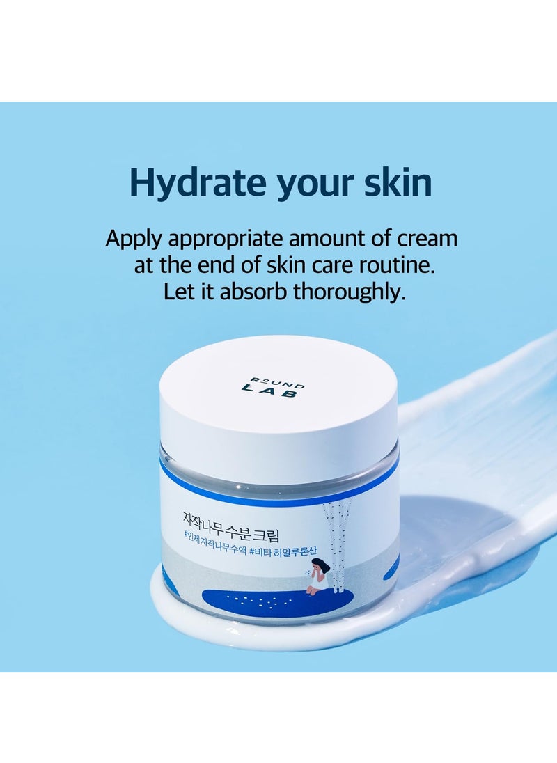 Birch Juice Moisturizing Cream 80ml