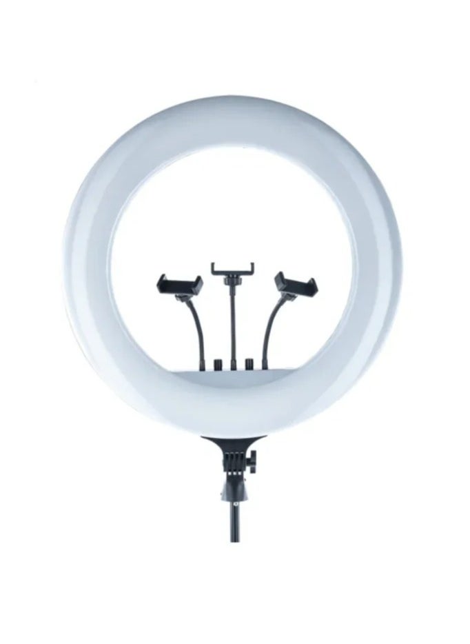 RL21 Inch Ring Light Tripod LED Soft Ring Light with Remote Control
