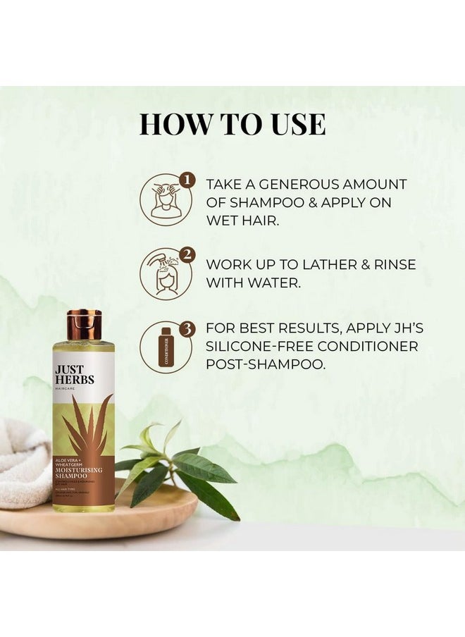 Ayurvedic Silky Strength Anti Dandruff & Hairfall Shampoo For Men & Women - Suitable For Dry Hair Scalp, Sulphate & Paraben Free 200 Ml