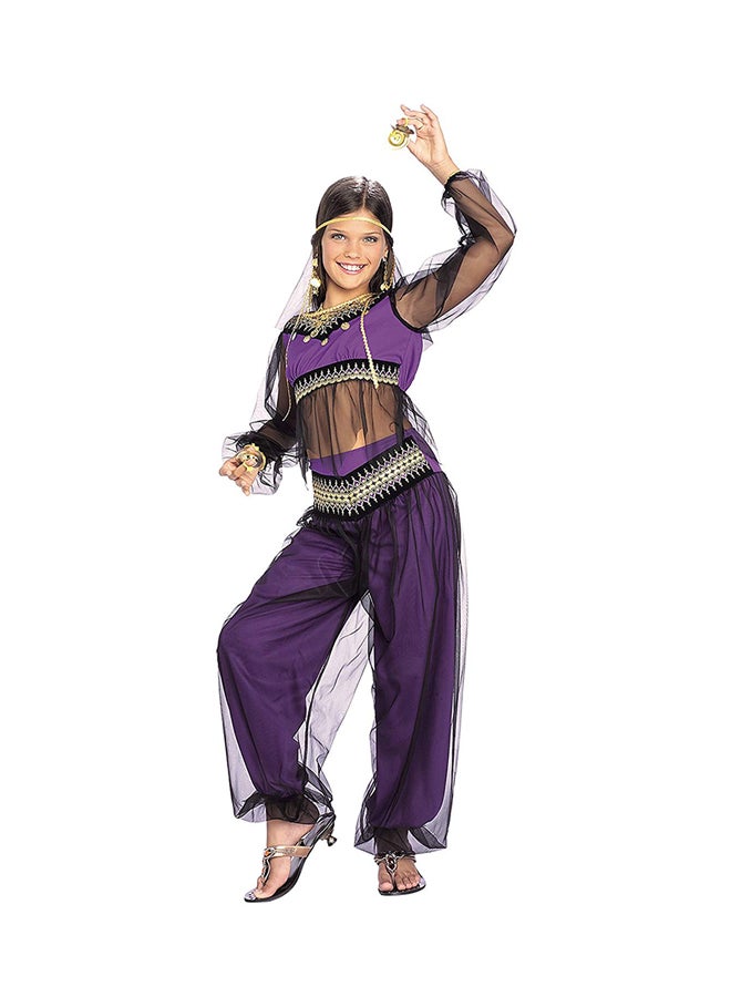 Harem Princess Costume