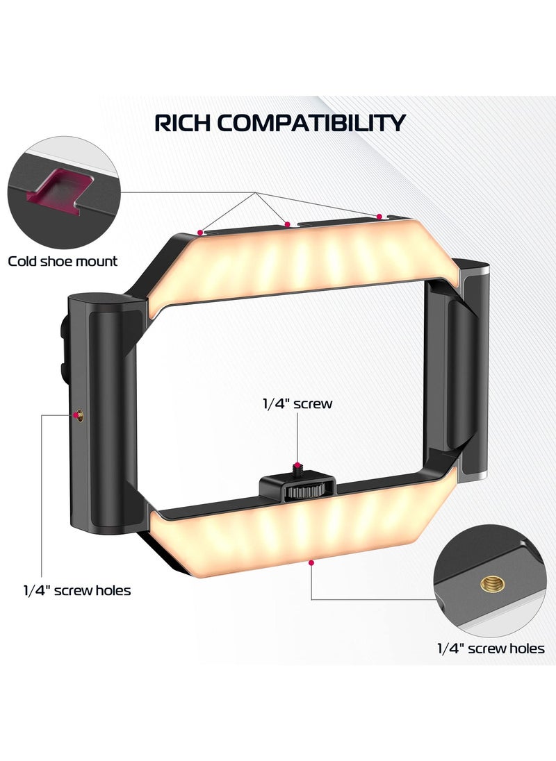 ULANZI Smartphone Video Rig with Light, Cell Phone Handheld Stabilizer with Ring Light for Filmmaking Live Steam Video Recording