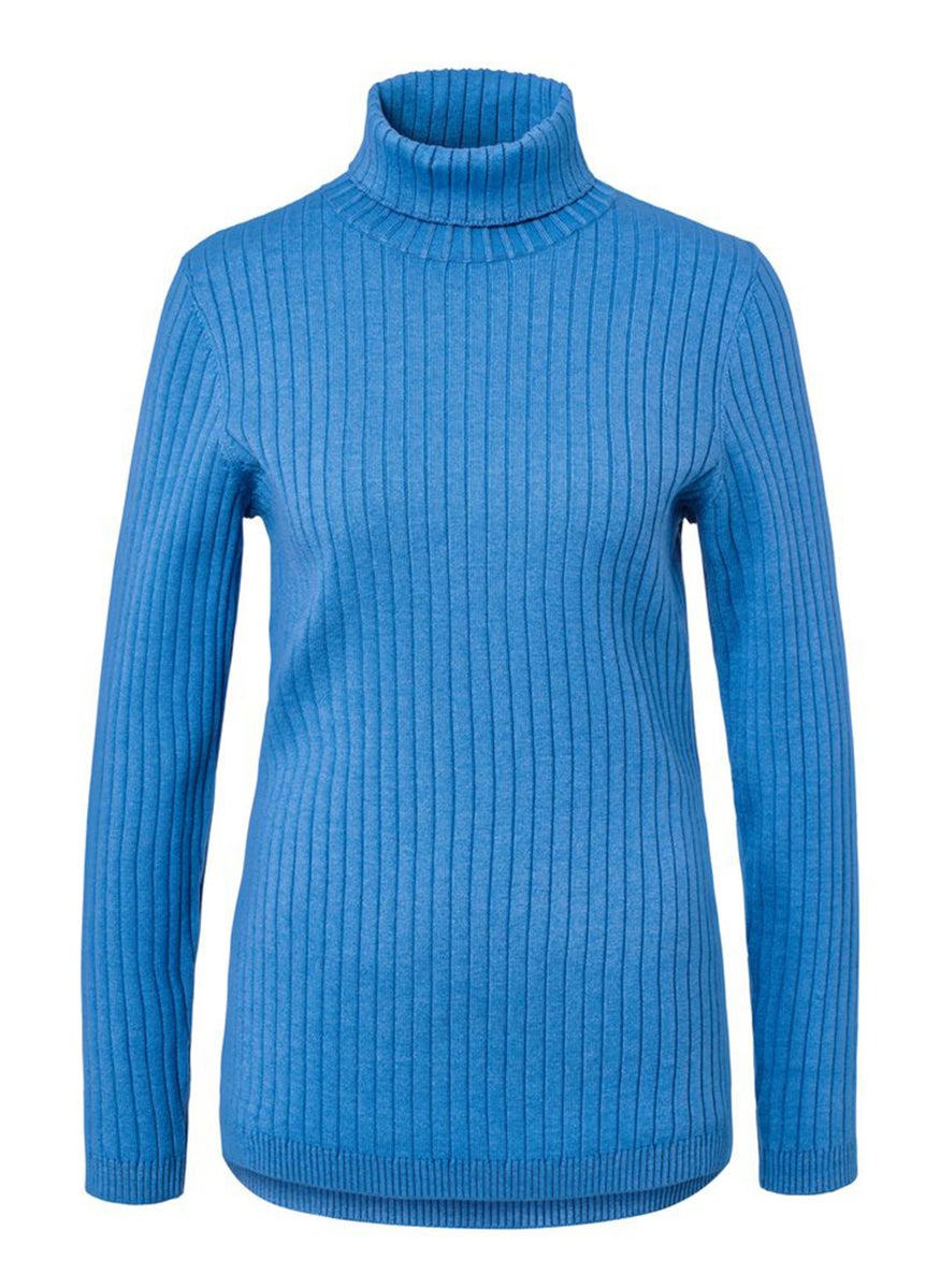 Women Turtle Neck Long Sleeve Textured Sweater, Blue