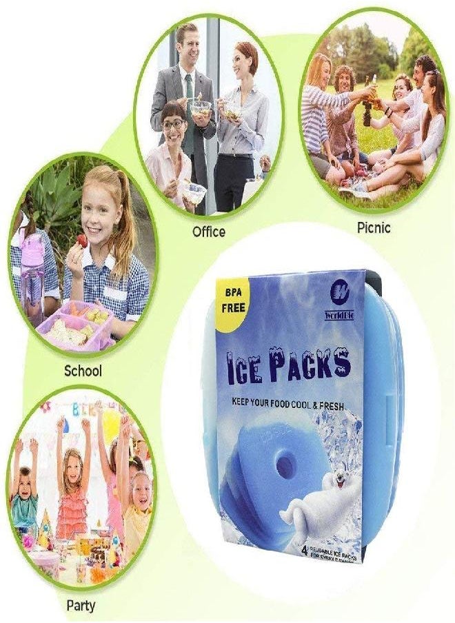Ice Packs for Cooler Long Lasting Reusable Freezer Packs for Lunch Box, Lunch Bag, Cooler Bag for Work, School, Picnic, Camping, Fishing and More, Keep Beverages Foods Cold & Fresh, Set of 4, Blue
