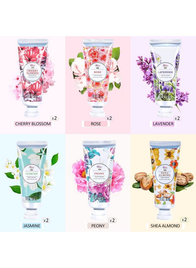 Hand Cream Set Pack Of 12 Enriched With Shea Butter To Nourish Dry Hands Hand Lotion Gift Packs Travel Size Best Gifts For Women