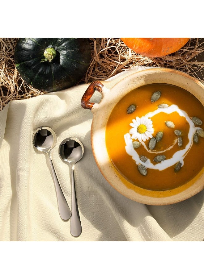 Hiware Soup Spoons, Round Stainless Steel Bouillon Spoons, Set of 12