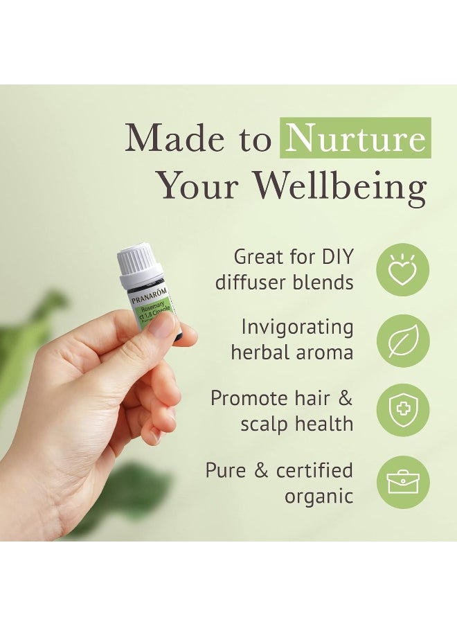 , Essential Oil, Rosemary Ct 1,8 Cineole.17 Fl Oz (5 Ml)