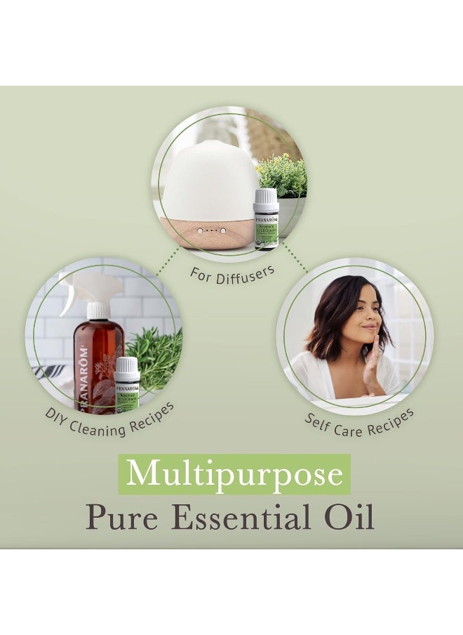 , Essential Oil, Rosemary Ct 1,8 Cineole.17 Fl Oz (5 Ml)