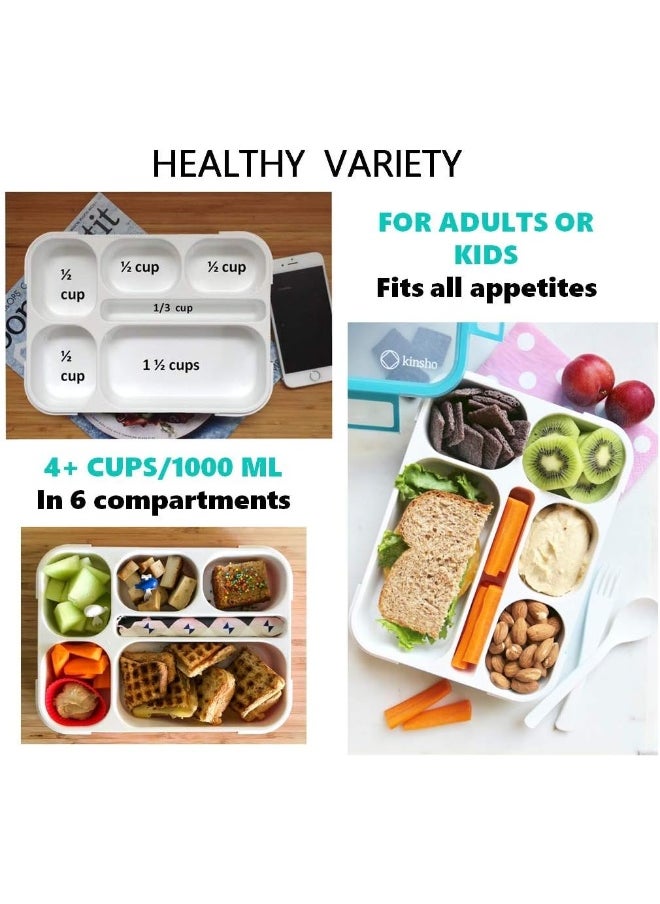kinsho Bento-Box with Insulated Lunch Bag Set. 2 Lunch-Boxes for Kids, Adults. Slim Leak-proof Bentoboxes. BPA Free. Fork & Spoon Utensils. Blue & Pink, Large