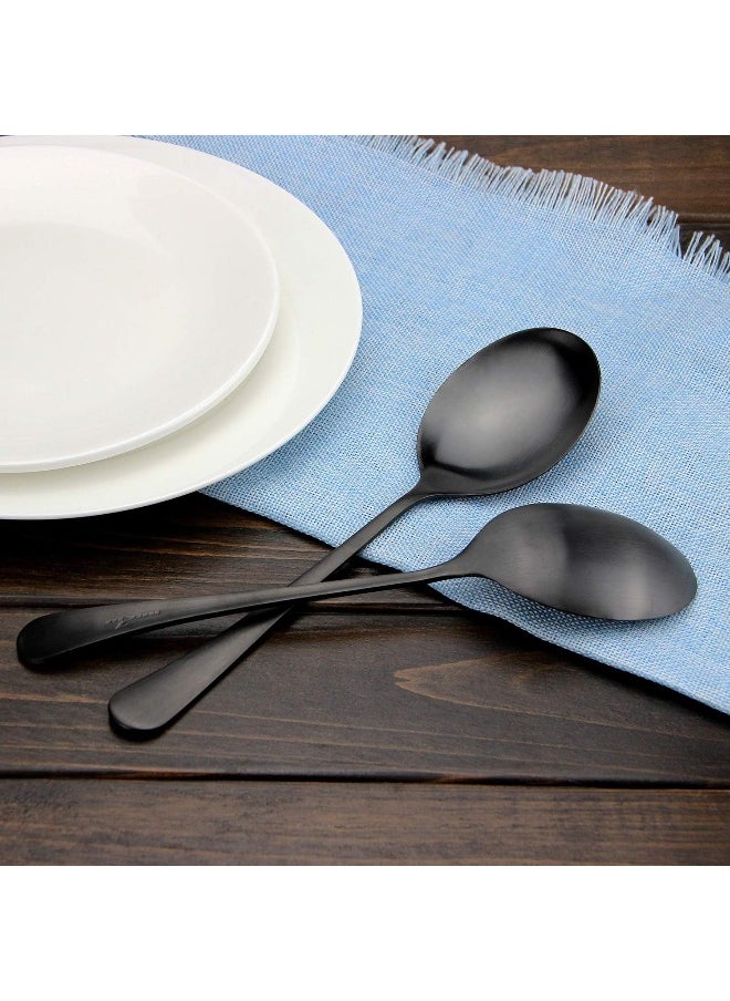 AOOSY Serving Spoons, Matte Black X-Large Spoons, 6 Pieces 9.8 Inches Serving Tablespoons, Stainless Steel Solid Buffet Banquet Flatware Kitchen Basics Serving Spoon Big Ladle Spoon