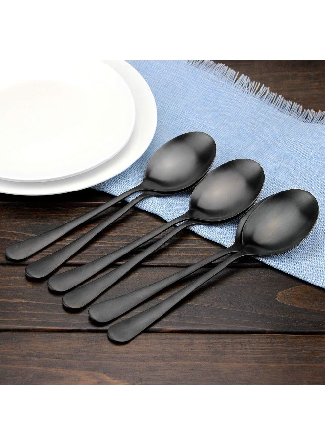 AOOSY Serving Spoons, Matte Black X-Large Spoons, 6 Pieces 9.8 Inches Serving Tablespoons, Stainless Steel Solid Buffet Banquet Flatware Kitchen Basics Serving Spoon Big Ladle Spoon