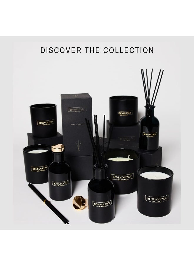 Benevolence LA Reed Diffuser Set, Lavender & Eucalyptus Fragrance Diffuser, Aromatherapy Diffuser, Scented Oil Reed Diffuser Sticks, Scented Sticks Diffuser, Stress Relief and Promote Relaxation