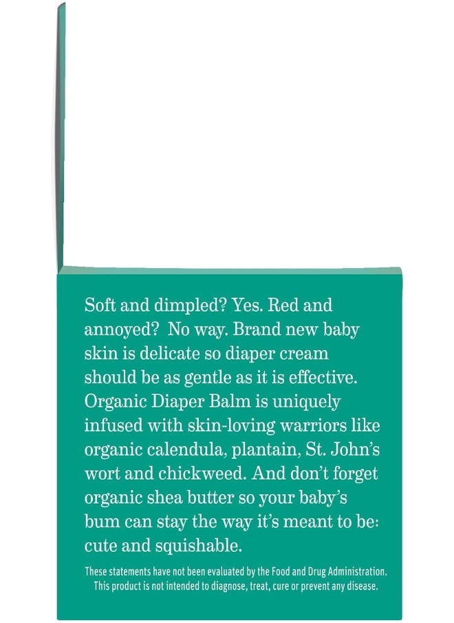 Earth Mama Organic Diaper Balm | Safe Calendula Cream To Soothe And Protect Sensitive Skin, Non-GMO Project Verified, 2-Fluid Ounce