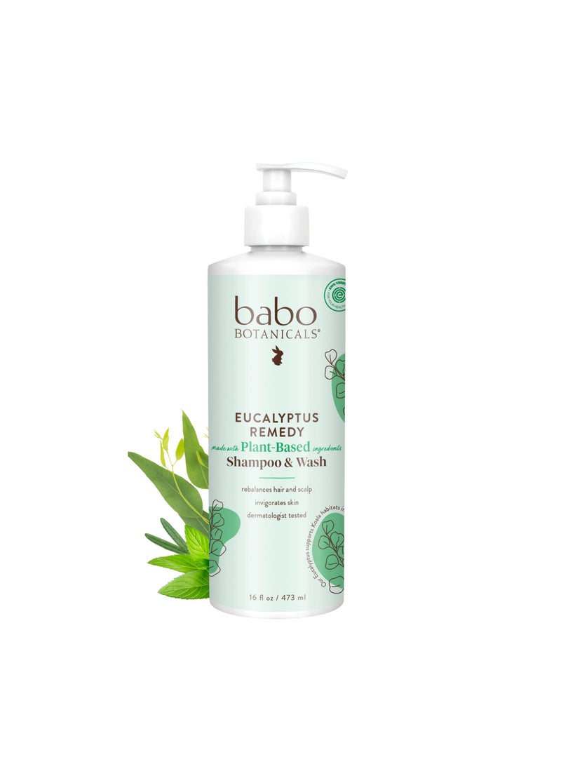 Babo Botanicals Eucalyptus Remedy Shampoo & Wash - Invigorating Eucalyptus & Rosemary Essential Oils -For all Ages - EWG Verified - Vegan - Cruelty Free