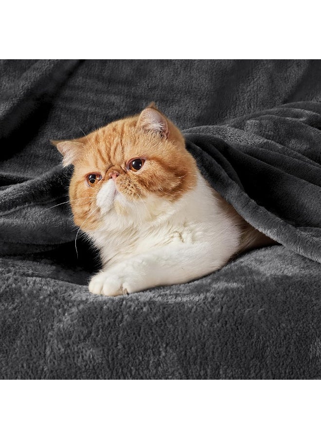 Bedsure Charcoal Fleece Blanket 50x70 Blanket - 300GSM Soft Lightweight Plush Cozy Blankets for Bed, Sofa, Couch, Travel, Camping